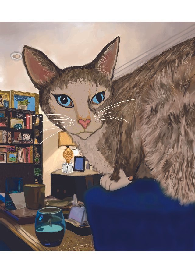 Bella Perched on Chair 5X7