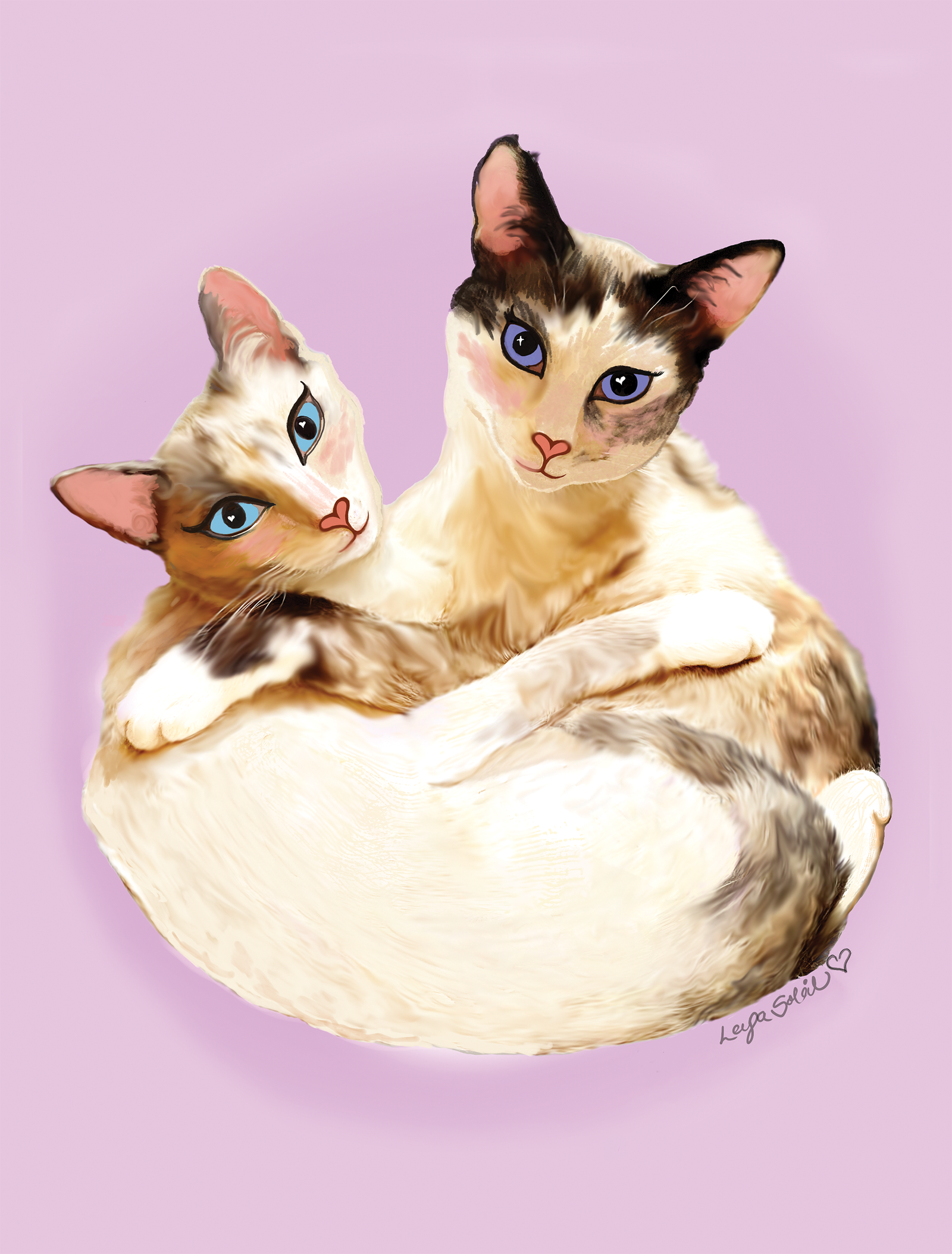Bonded Pair WEB Copy 5f46d7e4-e1d5-48c2-ae63-6cd4ea0aa580